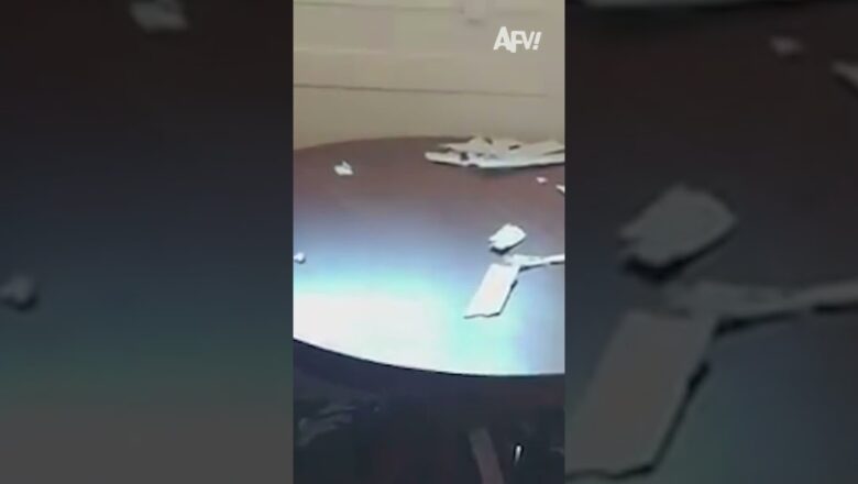 At least the view was amazing π #afv #dogs #funny #shorts