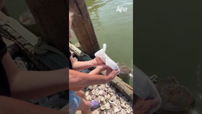 Girl saves a fish from a bait shop AND feeds a bird