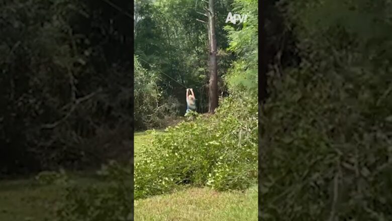 Has a zip line ever ended well?