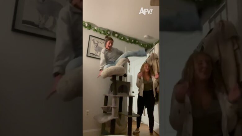 I hope she has 9 lives πΉ #afv #fail #funny #shorts