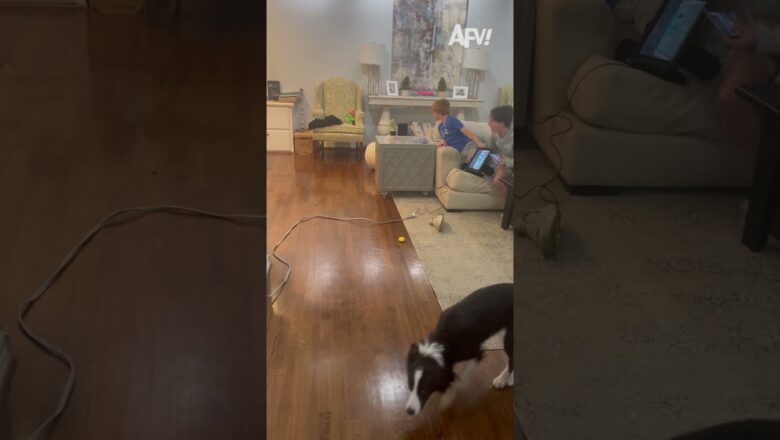 Mom: No playing ball in the house! Also Mom: