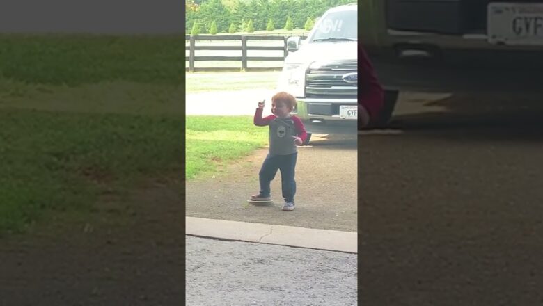 My son is a horse whisperer