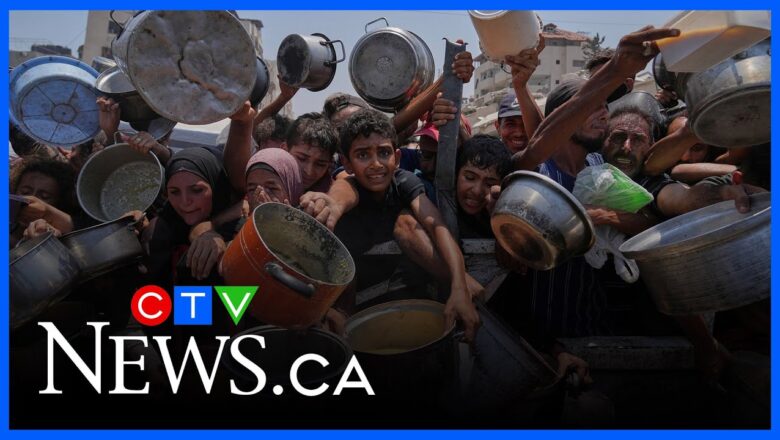 ‘Our teams are desperate’ | Advocate sounds alarm on hunger crisis in Gaza