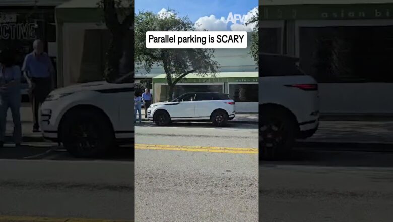 Parallel parking is SCARY
