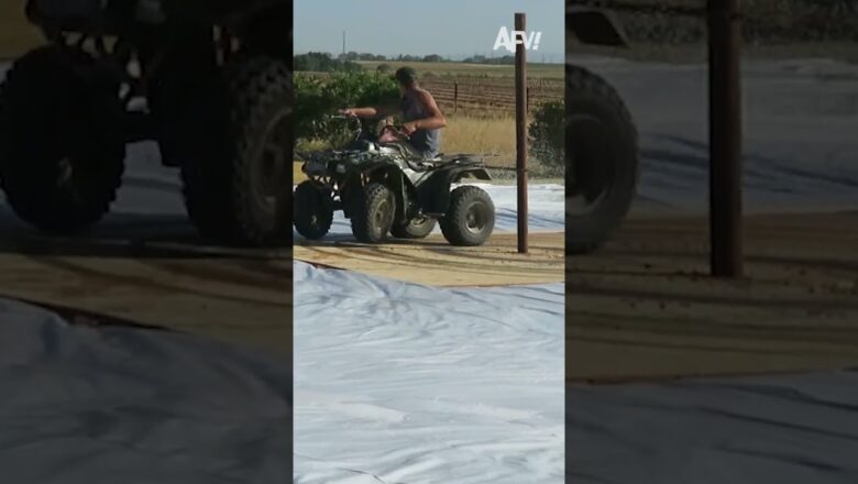 This was always gonna end this way π
#afv #fail #funny #shorts
