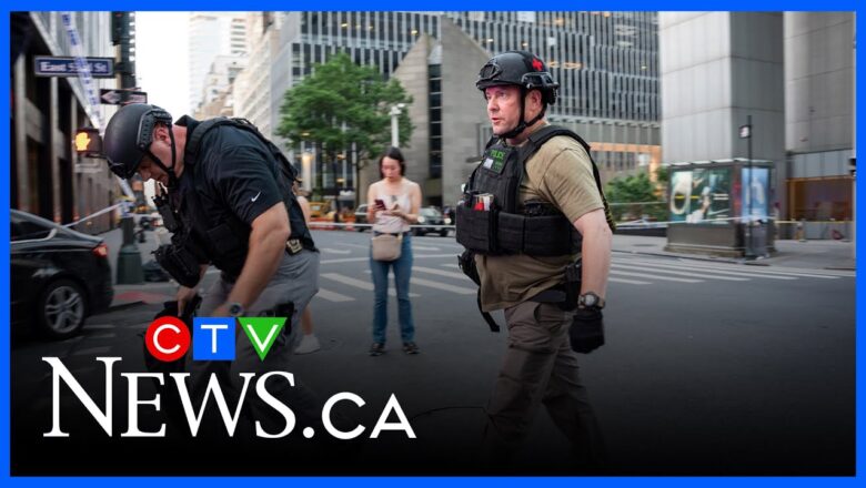 ‘Totally unexpected and somewhat bizarre’ | Former NYPD detective on mass shooting