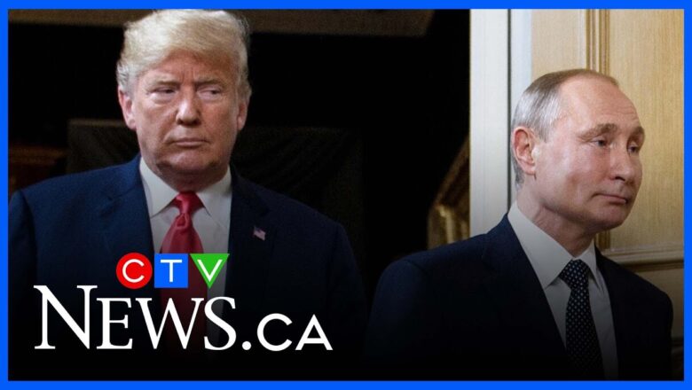 Trump ‘reaching a boiling point’ with Putin over attacks on Ukraine: Ham