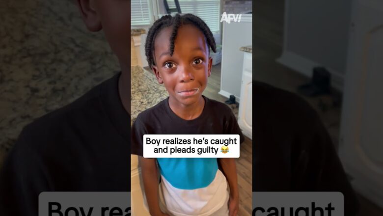 Boy realizes he’s caught and pleads guilty 😂