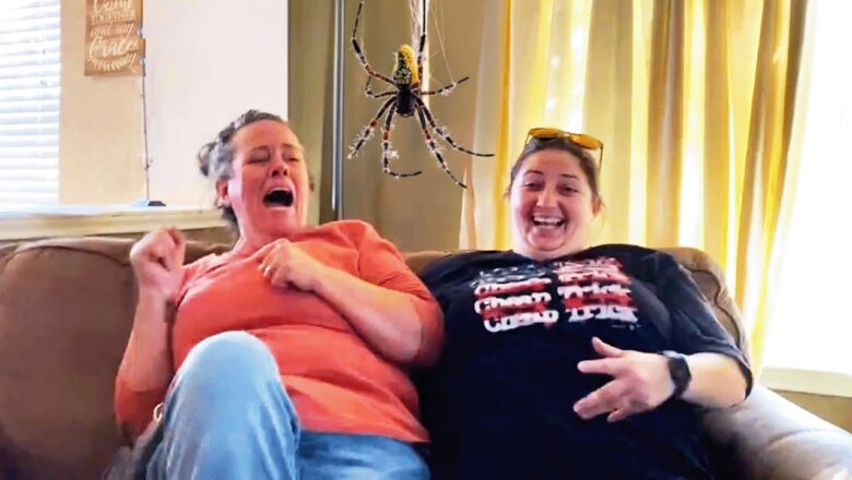 Funniest Pranks That Went WRONG๐