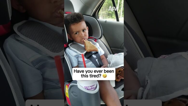 Have you ever been this tired? 🤣