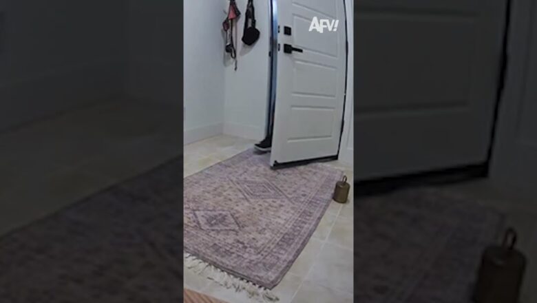 I did not expect this intruder in my house