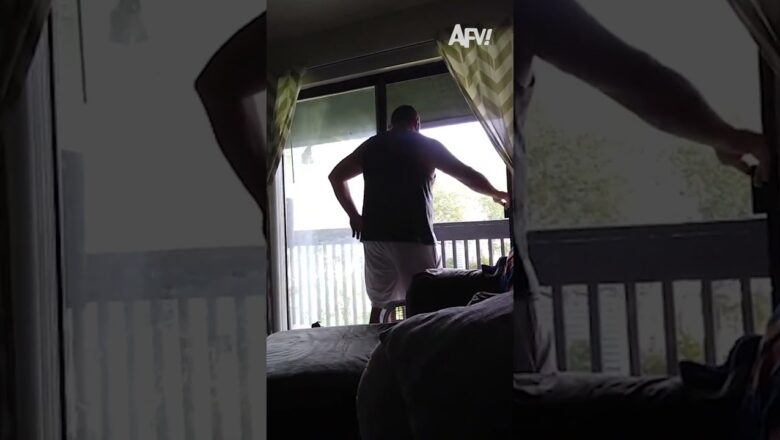 My husband does NOT like bees