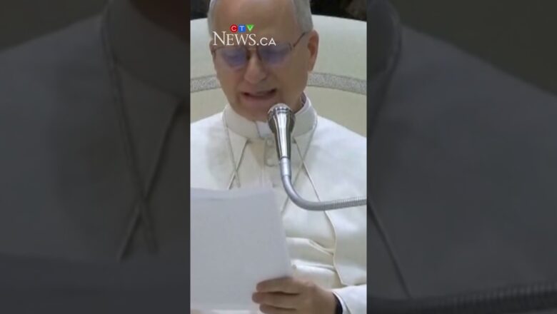 Pope Leo calls for ceasefire in Israel-Hamas war