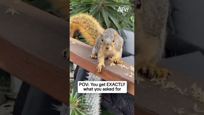 POV: You get EXACTLY what you asked for