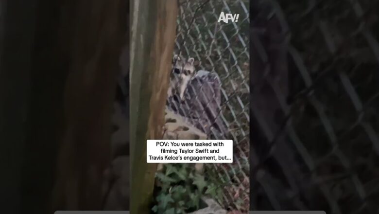 POV: You were tasked with filming Taylor Swift and Travis Kelce’s engagement, but…