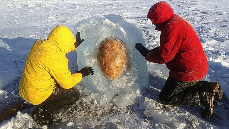 Scientists Found a Mysterious Sea Monster Egg in Antarctica