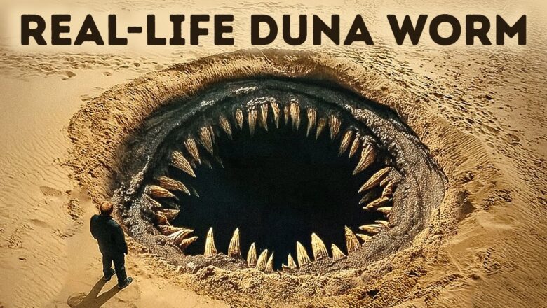 The Gobi Monster – And Other Mysteries That Were Finally Solved