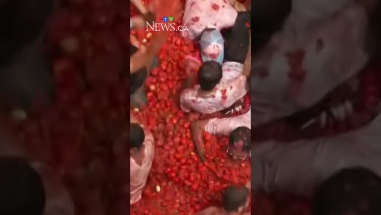 Thousands pack the streets of Spain for ‘La Tomatina’