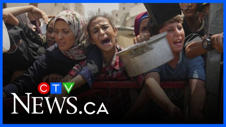 ‘We should be angry’ | WHO spokesperson on report confirming famine in Gaza