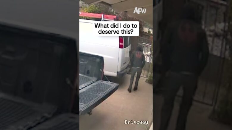 What did I do to deserve this?