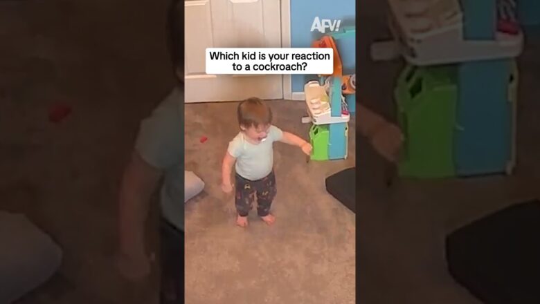 Which kid is your reaction to a cockroach?