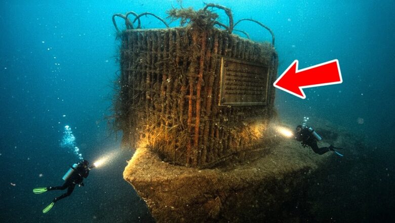 A Ship Lost 270 Containers in a Storm in the North Sea – The Shocking Discovery Inside