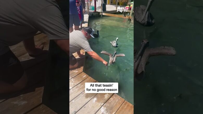 All that teasin’ for no good reason