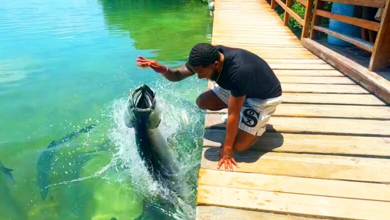 Best Viral Fails | Unexpected Chaos