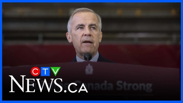 ‘Better game plan’ needed as Trump pressures NATO on China tariffs: expert