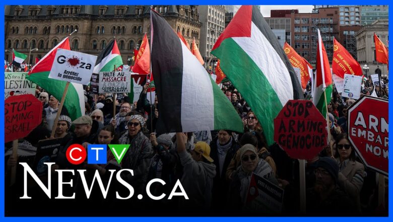 Canada joins 141 countries formally recognize Palestine in ‘significant’ statement: analyst