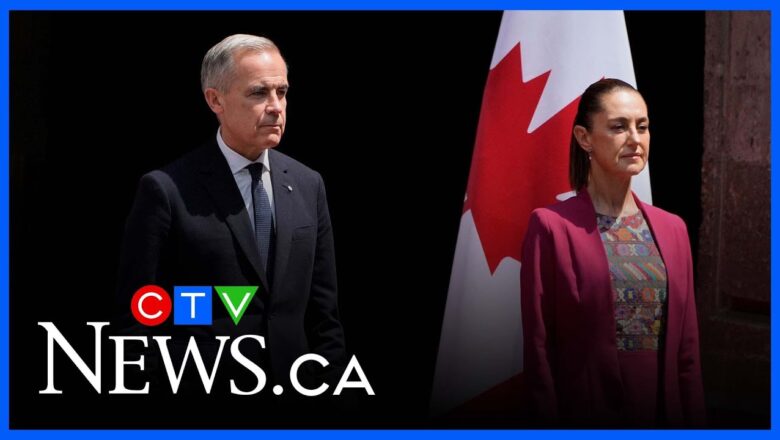 Canada-Mexico agreement helps combat ‘common fear’ amid U.S. tariffs: Reid