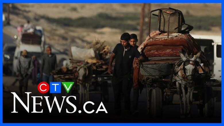 ‘Extremely difficult’ evacuations in Gaza to exacerbate humanitarian crisis: Allen