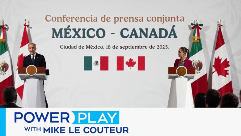 Former Mexican ambassador: ‘If U.S. treats partners as adversaries, they must act as allies’