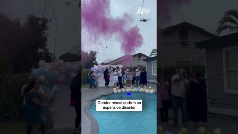 Gender reveal ends in an expensive disaster