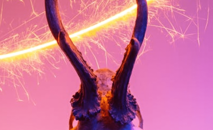 7 animals that glow in the dark