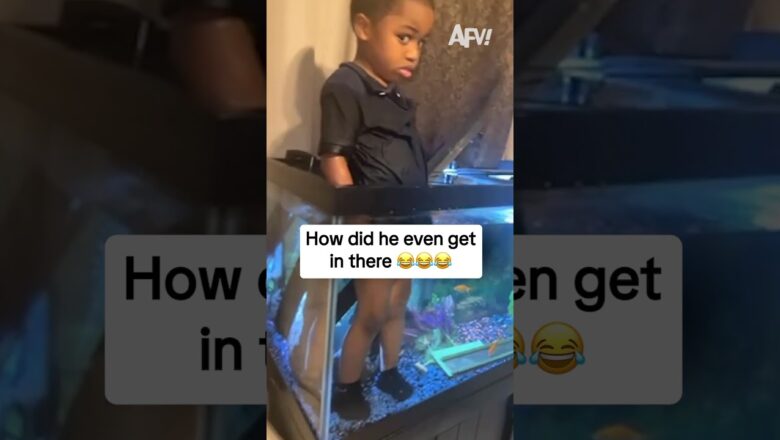 How did he even get in there πππ