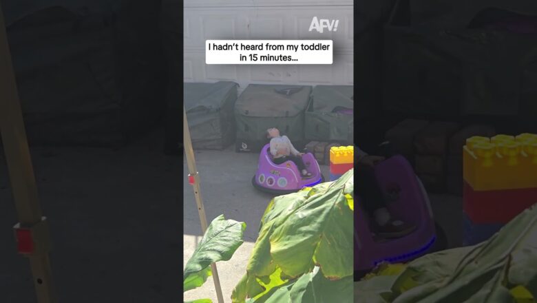 I hadn’t heard from my toddler in 15 minutes…