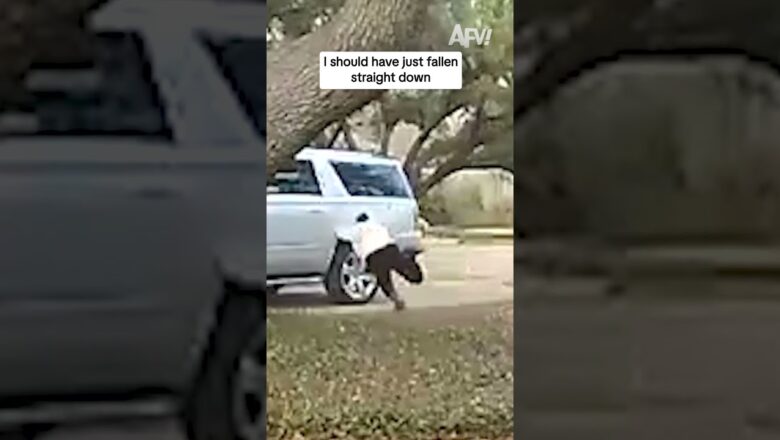 I should have just fallen straight down