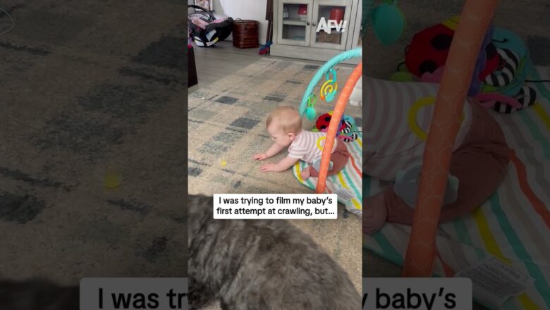 I was trying to film my baby’s first attempt at crawling, but…