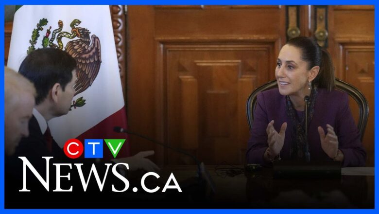 Increasing bilateral trade with Mexico could ‘downsize’ Trump’s tariffs: lawyer