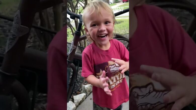 Let’s hope there’s no horde of quesadillas this year