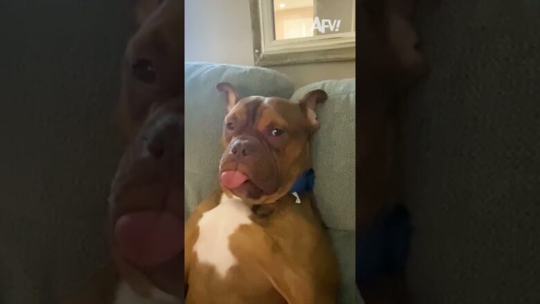 Literally me after work