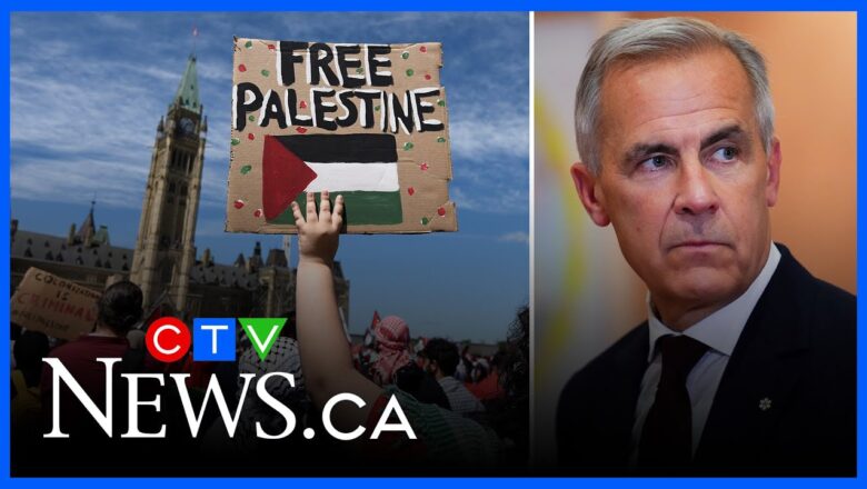 Palestinian state recognition is an effort to keep two-state solution hopes alive, expert says