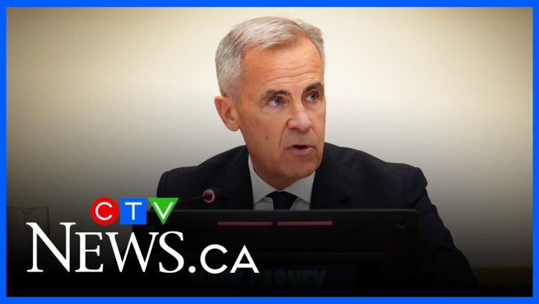 ‘Putin has stolen Ukrainian children’ | PM Carney speaks on the abducted children in the war