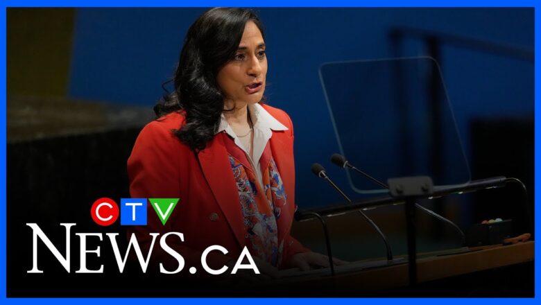 ‘Retreat is not an option’ | Anand outlines foreign affairs priorities at UN General Assembly