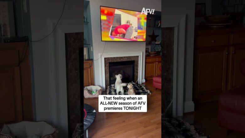 That feeling when an ALL-NEW season of AFV premieres TONIGHT
