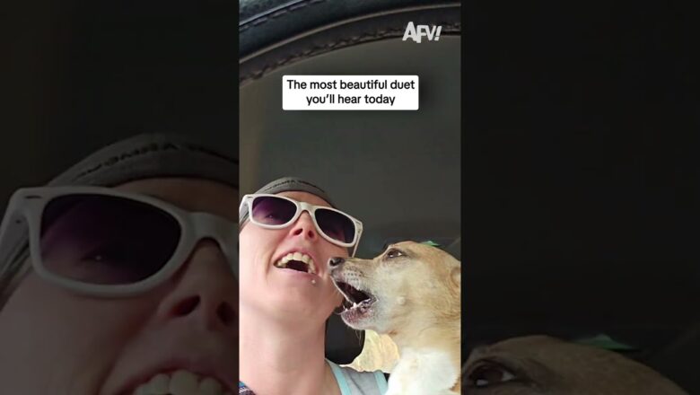 The most beautiful duet you’ll hear today