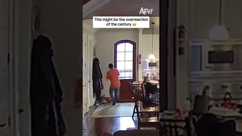 This might be the overreaction of the century 😂