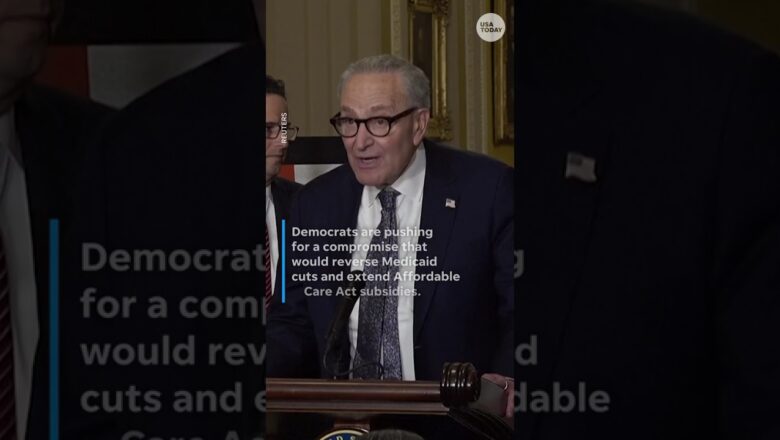 Trump says shutdown could bring ‘a lot of good’ despite layoffs #Shorts