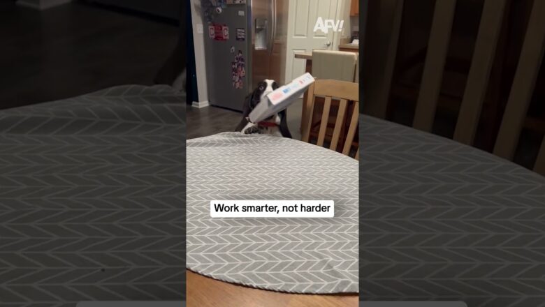 Work smarter, not harder